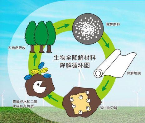 殘膜之困 農(nóng)膜使用與牧草安全的雙重挑戰(zhàn)